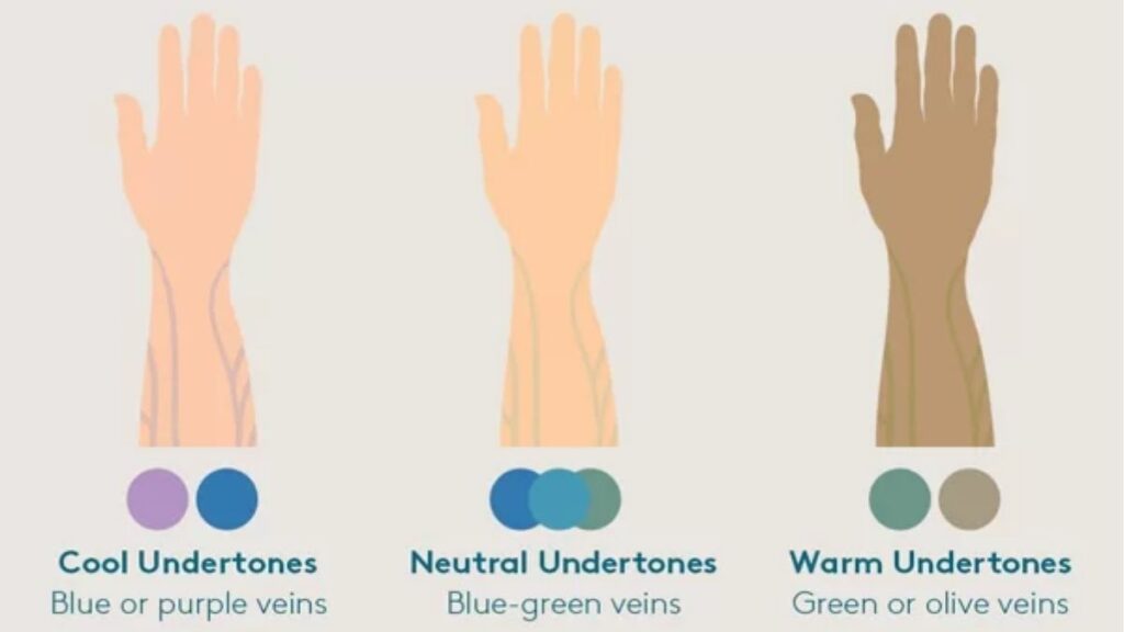 Các undertone warm, cool, neutral và olive khi chọn foundation