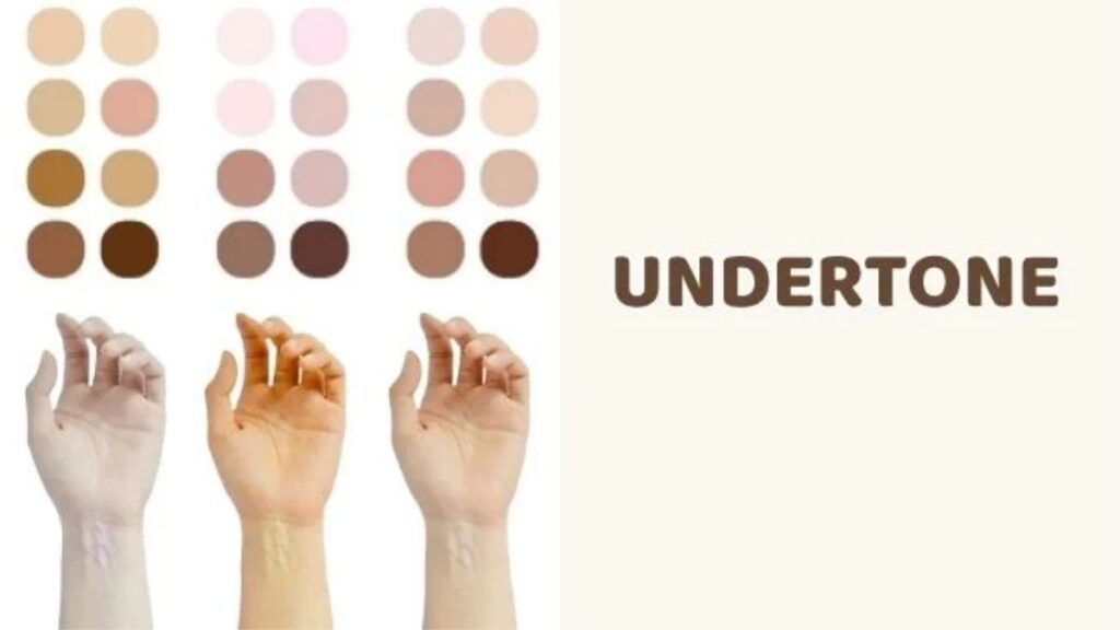 Các undertone warm, cool, neutral và olive khi chọn cushion